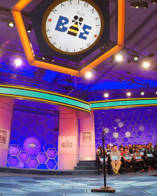 Coming to Bee Week?