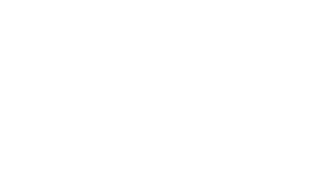 ION logo